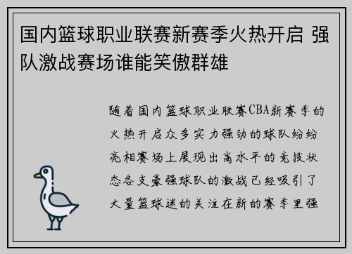 国内篮球职业联赛新赛季火热开启 强队激战赛场谁能笑傲群雄